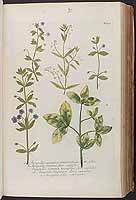  no thumbnail available