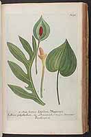  no thumbnail available