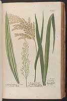  no thumbnail available