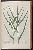  no thumbnail available