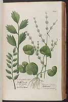  no thumbnail available