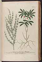  no thumbnail available