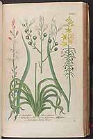  no thumbnail available