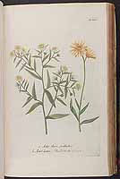  no thumbnail available