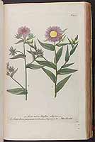  no thumbnail available