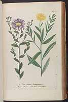  no thumbnail available