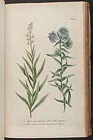  no thumbnail available