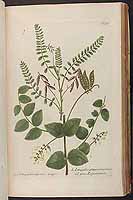  no thumbnail available