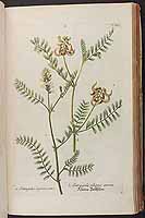  no thumbnail available