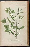  no thumbnail available