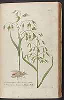  no thumbnail available