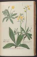  no thumbnail available