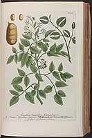  no thumbnail available