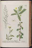  no thumbnail available