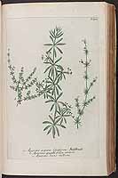  no thumbnail available