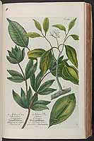  no thumbnail available