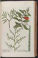  no thumbnail available