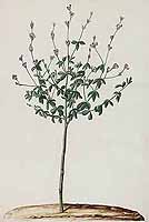  no thumbnail available