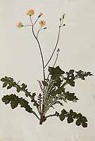  no thumbnail available