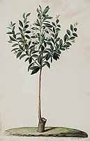  no thumbnail available