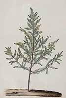  no thumbnail available