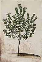  no thumbnail available