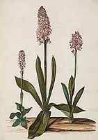  no thumbnail available