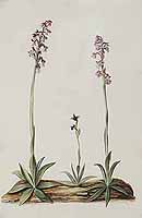  no thumbnail available