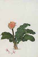  no thumbnail available