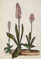  no thumbnail available