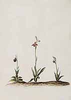  no thumbnail available