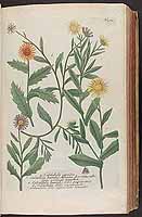  no thumbnail available