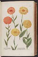  no thumbnail available