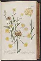  no thumbnail available