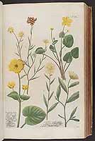  no thumbnail available