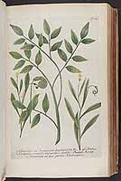  no thumbnail available