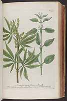  no thumbnail available