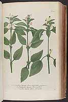  no thumbnail available