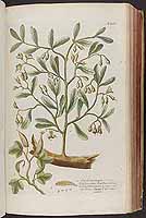  no thumbnail available