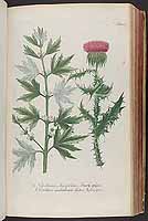  no thumbnail available