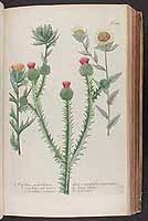  no thumbnail available