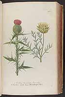  no thumbnail available