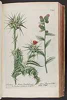  no thumbnail available