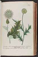  no thumbnail available