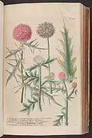  no thumbnail available