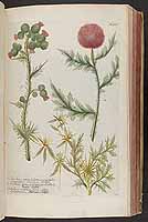  no thumbnail available