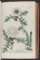  no thumbnail available