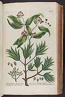  no thumbnail available