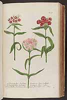  no thumbnail available