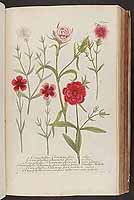  no thumbnail available